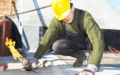Unusual Facts About Roofer Companies Uncovered by an Old Pro