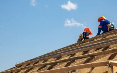 Kids, Work and Roofing in Mckinney Texas